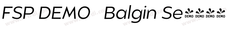 FSP DEMO   Balgin Se字体转换
